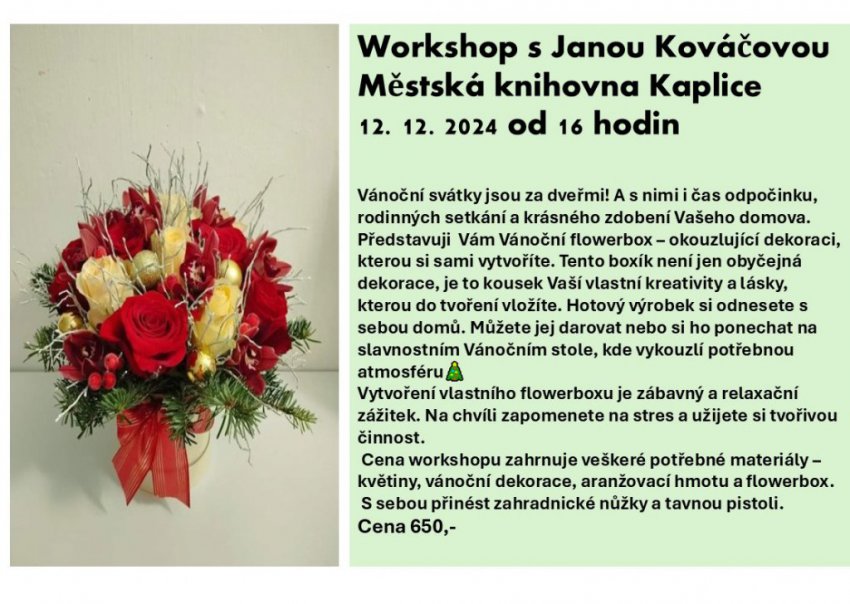 WORKSHOP S JANOU